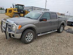 Salvage trucks for sale at Bismarck, ND auction: 2013 Ford F150 Supercrew