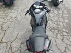 2024 Cf Moto 450SS
