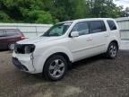 2014 Honda Pilot exl