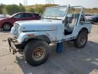 1979 Jeep CJ5