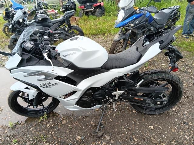 2025 Kawasaki EX500 H