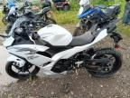 2025 Kawasaki EX500 H
