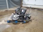 2005 Wildcat 2005 Scooter