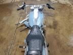 2024 Harley-Davidson Flfbs