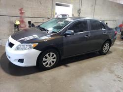 2010 Toyota Corolla le en venta en Blaine, MN