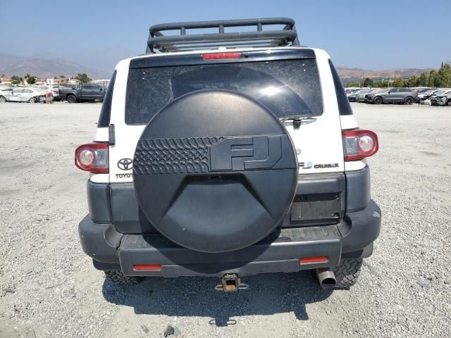 2013 Toyota FJ Cruiser