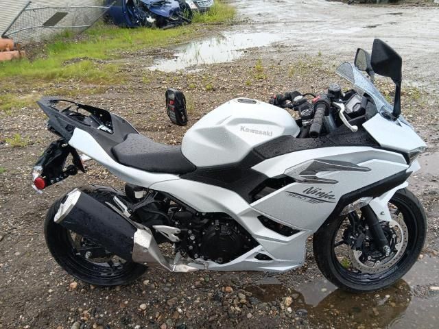 2025 Kawasaki EX500 H