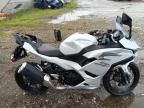 2025 Kawasaki EX500 H