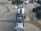 2002 Harley-Davidson Flstfi