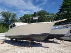 1986 Viking Legend