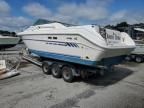 1993 Sea Ray Boat