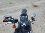 2021 Harley-Davidson Fxst