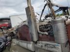 2019 Peterbilt 389 Semi Truck
