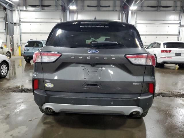 2020 Ford Escape SE Sport