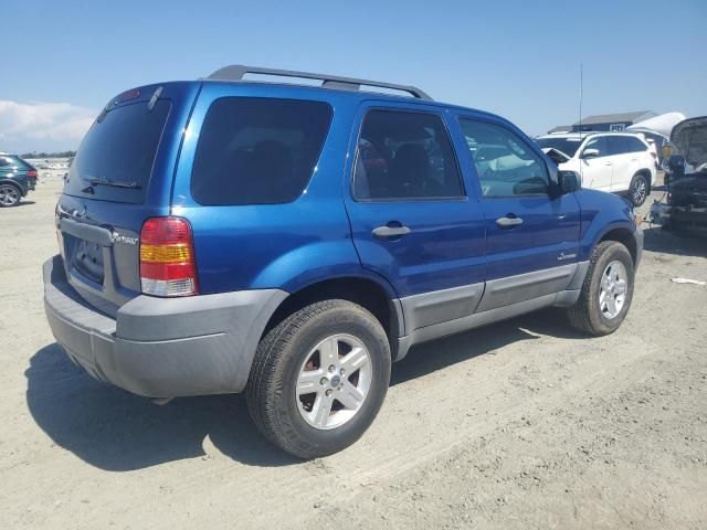 2007 Ford Escape HEV