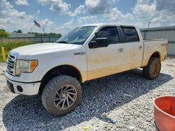 Ford salvage cars for sale: 2013 Ford F150 Supercrew