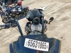 2019 Harley-Davidson Fltru