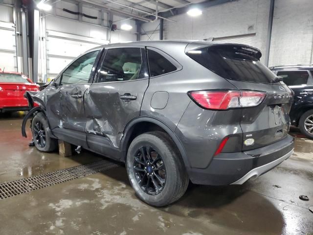 2020 Ford Escape SE Sport