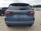 2024 Ford Escape ST Line