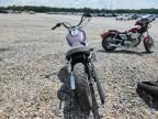 2004 Harley-Davidson Flstci