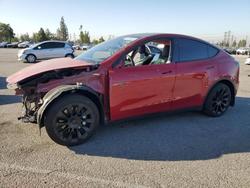 Salvage cars for sale from Copart Rancho Cucamonga, CA: 2023 Tesla Model y