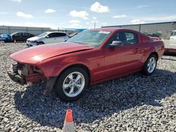 2009 Ford Mustang en venta en Arcadia, FL