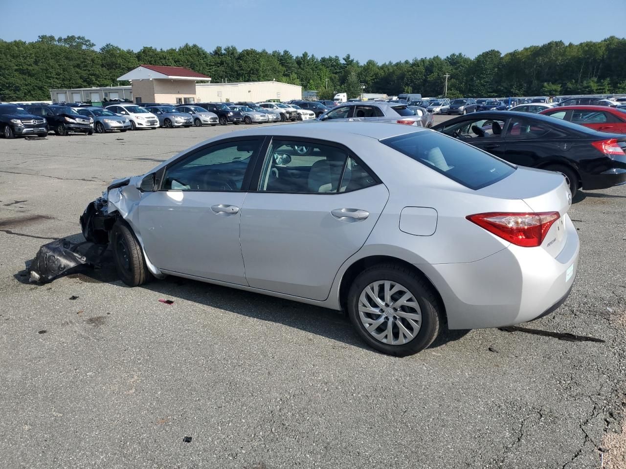 2019 Toyota Corolla l