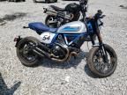 2020 Ducati Scrambler Desert Sled