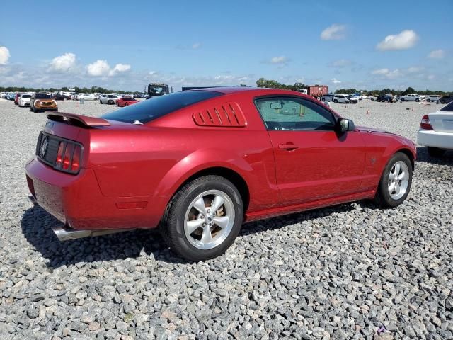 2009 Ford Mustang