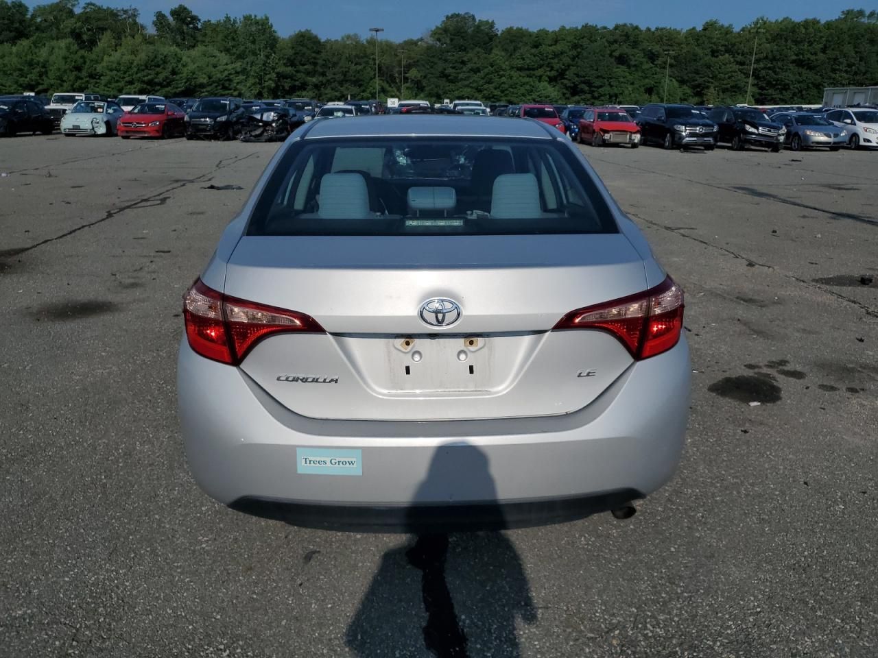 2019 Toyota Corolla l