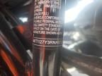 2024 Triumph Speed 400