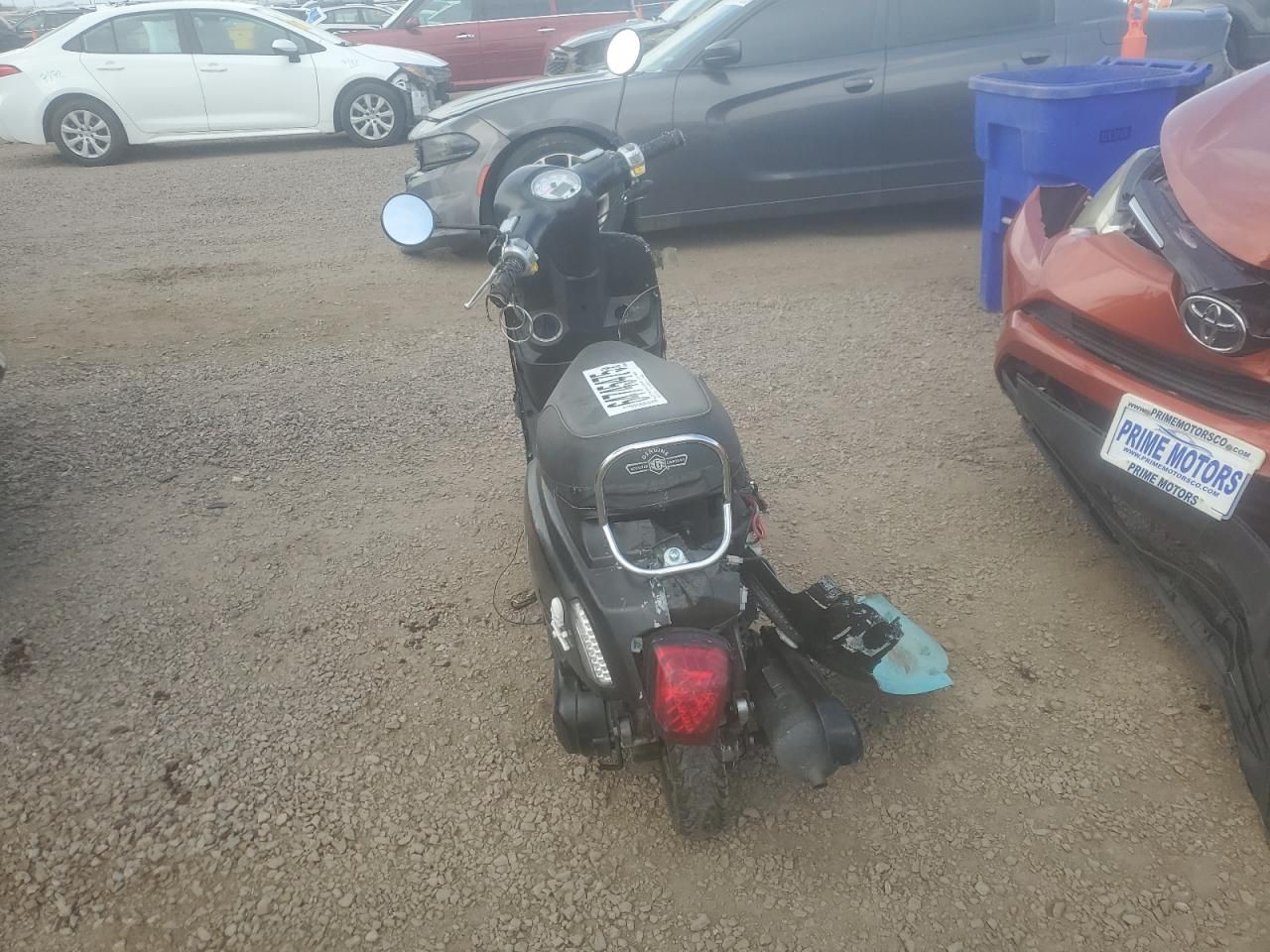 2021 Genuine Scooter Co. Buddy Kick