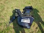 2024 Motr 2024 Tohatsu MFS50A Boat Engine