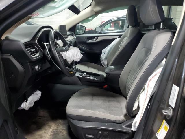 2020 Ford Escape SE Sport
