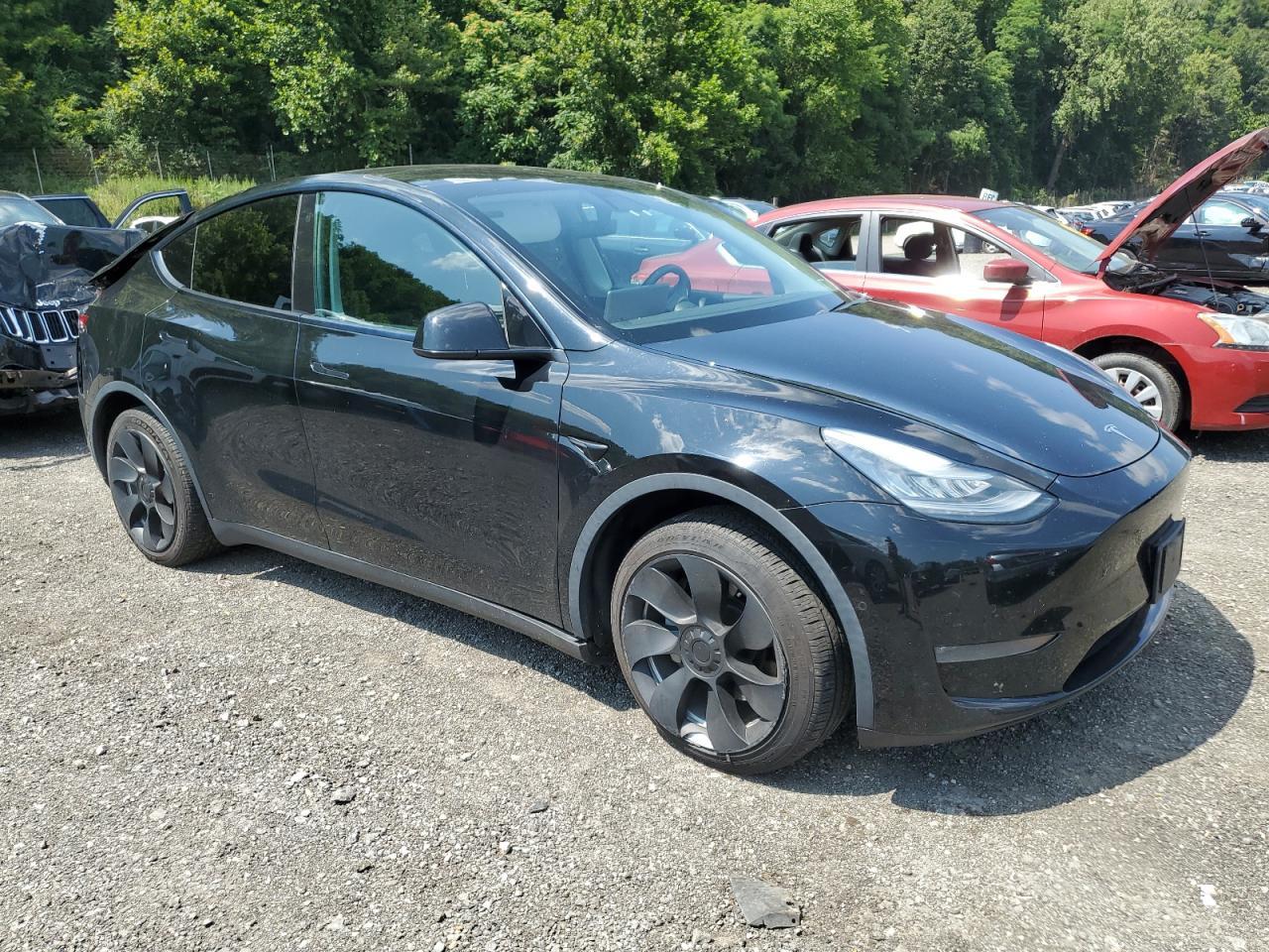 2020 Tesla Model y