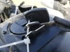 2022 Harley-Davidson RA1250 S