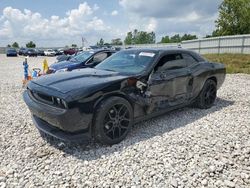 Dodge Challenger salvage cars for sale: 2013 Dodge Challenger SXT