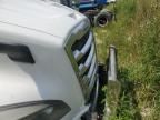 2019 Freightliner Cascadia 126