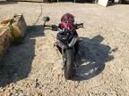 2025 Triumph 2025 Triumph Motorcycle Street Triple 765 RS