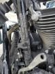 2024 Harley-Davidson Flhx