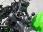 2025 Kawasaki EX500 H