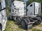 2019 Freightliner Cascadia 126