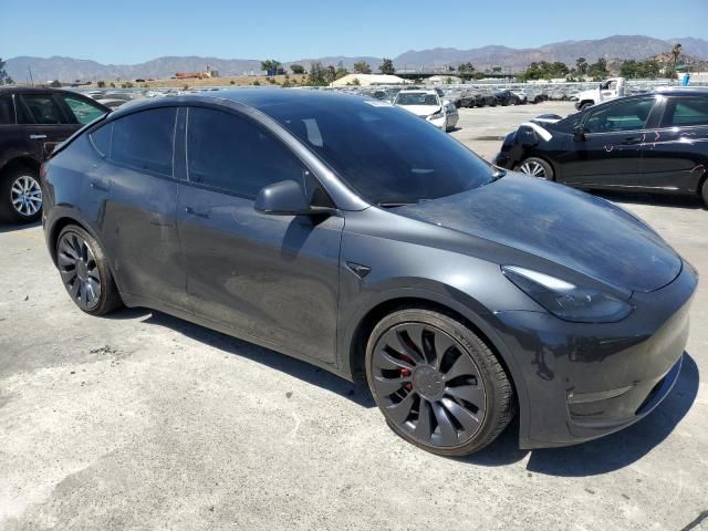 2024 Tesla Model y