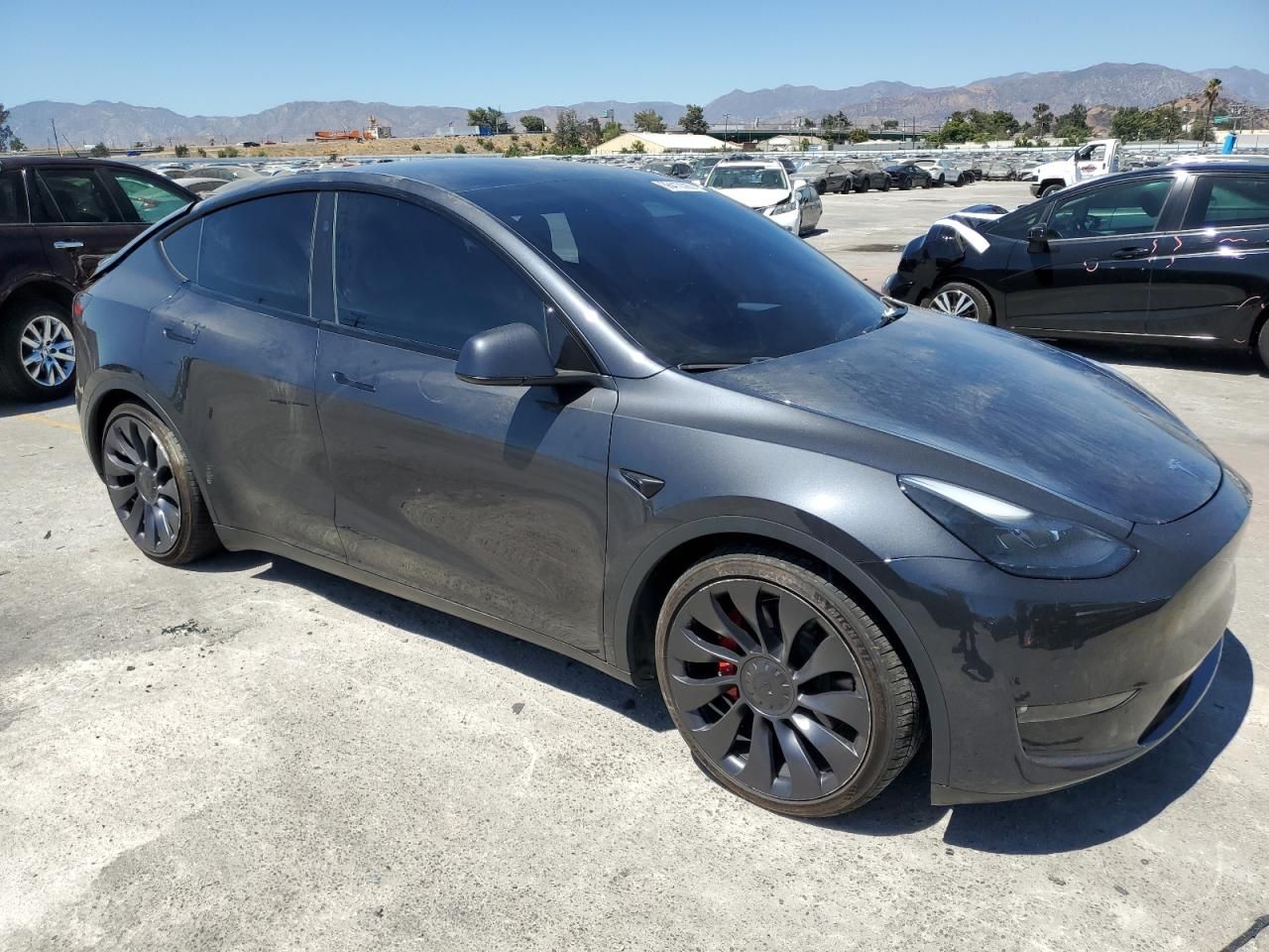 2024 Tesla Model y