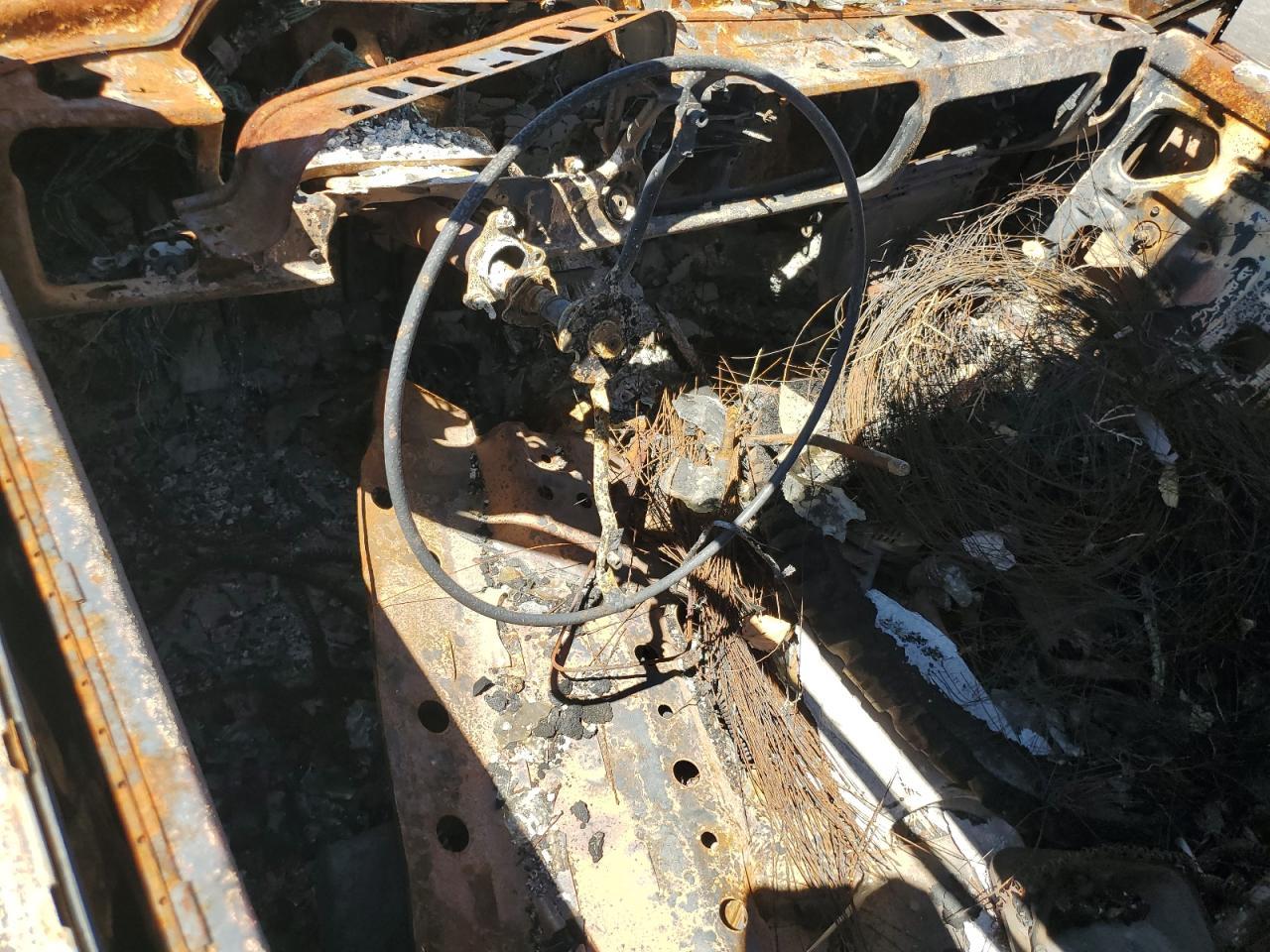 1979 Toyota Pickup