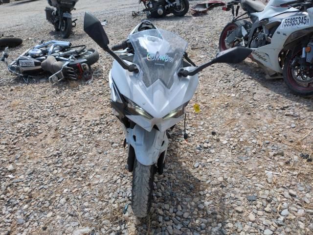 2024 Kawasaki EX500