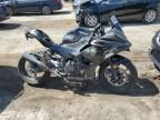 2024 Kawasaki EX500 H