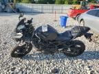 2024 Kawasaki EX500 H