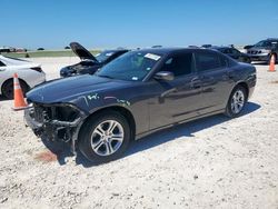 Dodge Charger sxt salvage cars for sale: 2019 Dodge Charger SXT