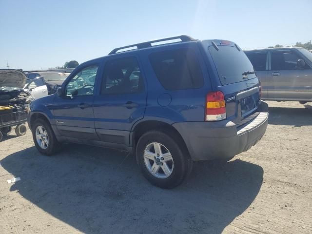 2007 Ford Escape HEV